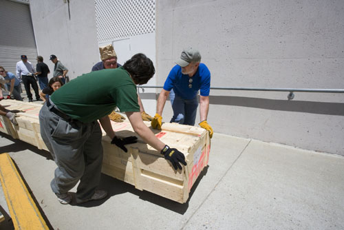 Unpacking Organ 162