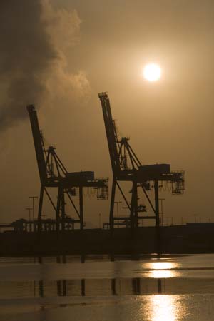 Container Cargo cranes 02