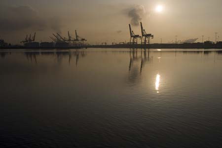 Container Cargo cranes 04