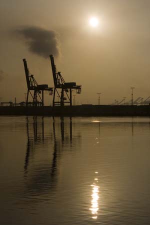 Container Cargo cranes 07