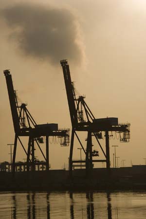 Container Cargo cranes 08
