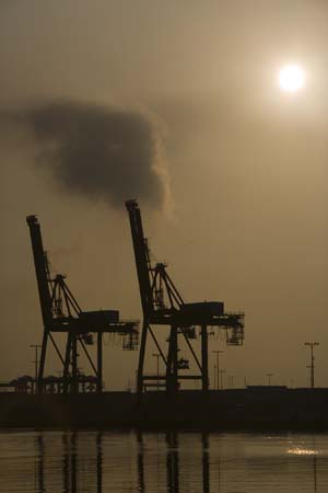 Container Cargo cranes 09