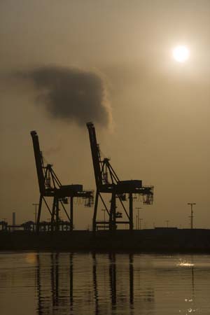 Container Cargo cranes 10