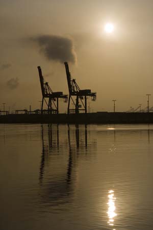 Container Cargo cranes 11