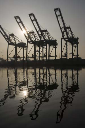 Container Cargo cranes 23