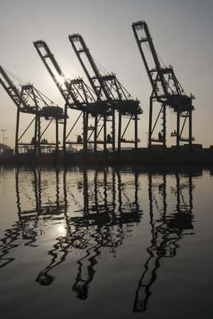 Container Cargo cranes 24