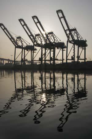 Container Cargo cranes 25