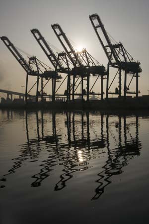 Container Cargo cranes 27
