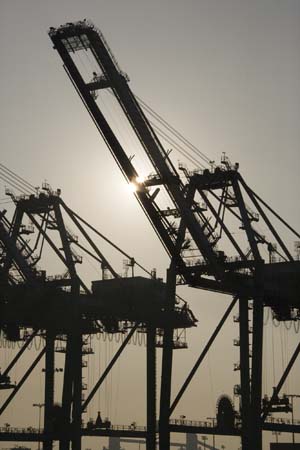 Container Cargo cranes 28