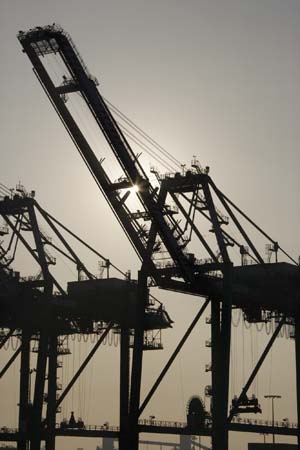 Container Cargo cranes 30