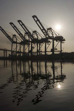 Container Cargo cranes 31