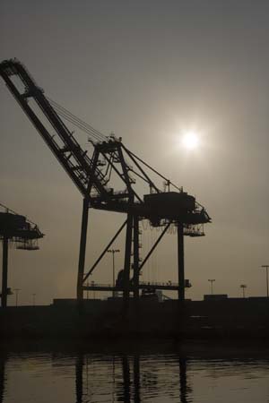 Container Cargo cranes 33