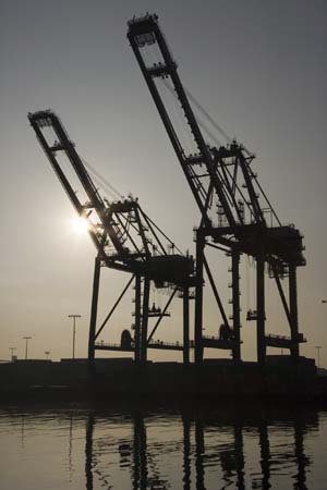 Container Cargo cranes 36