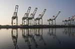 Container Cargo cranes 16