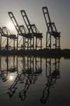 Container Cargo cranes 22