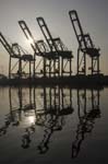 Container Cargo cranes 23
