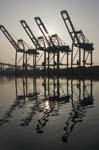 Container Cargo cranes 25