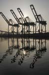 Container Cargo cranes 26