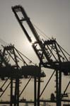 Container Cargo cranes 28