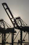 Container Cargo cranes 30