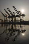 Container Cargo cranes 31