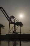 Container Cargo cranes 33