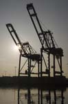 Container Cargo cranes 36