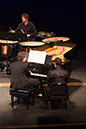 %_tempFileNameWood,%20Novacek%20in%20Bartok%2001%