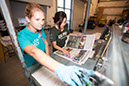 %_tempFileNameTuri%20operates%20press%2007%